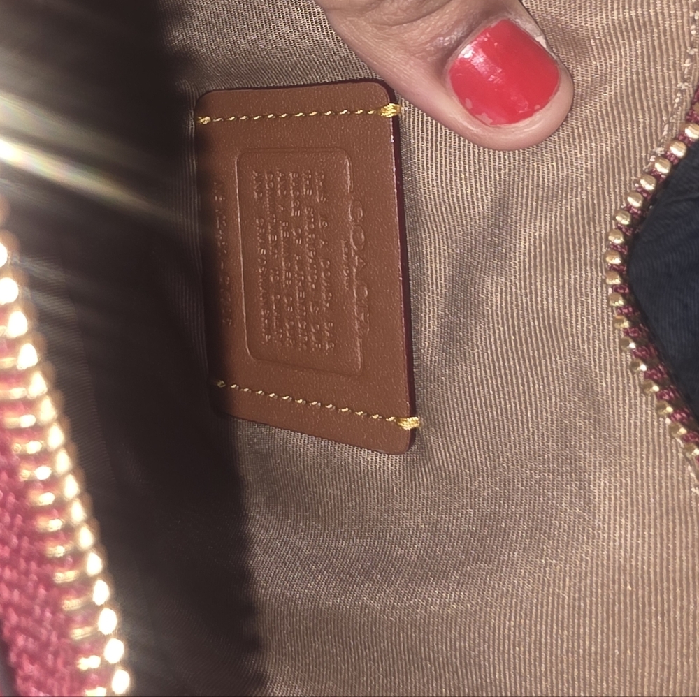 Coach Heart-Shaped Bag with Cherry Print - Brown and Pink - Picture 7 of 7